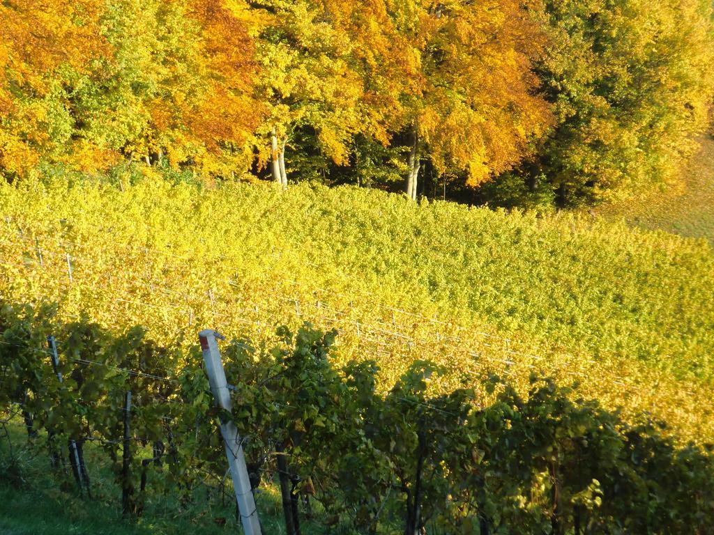 Zweytick Gaestezimmer Weingut Ratsch an der Weinstraße Exterior foto