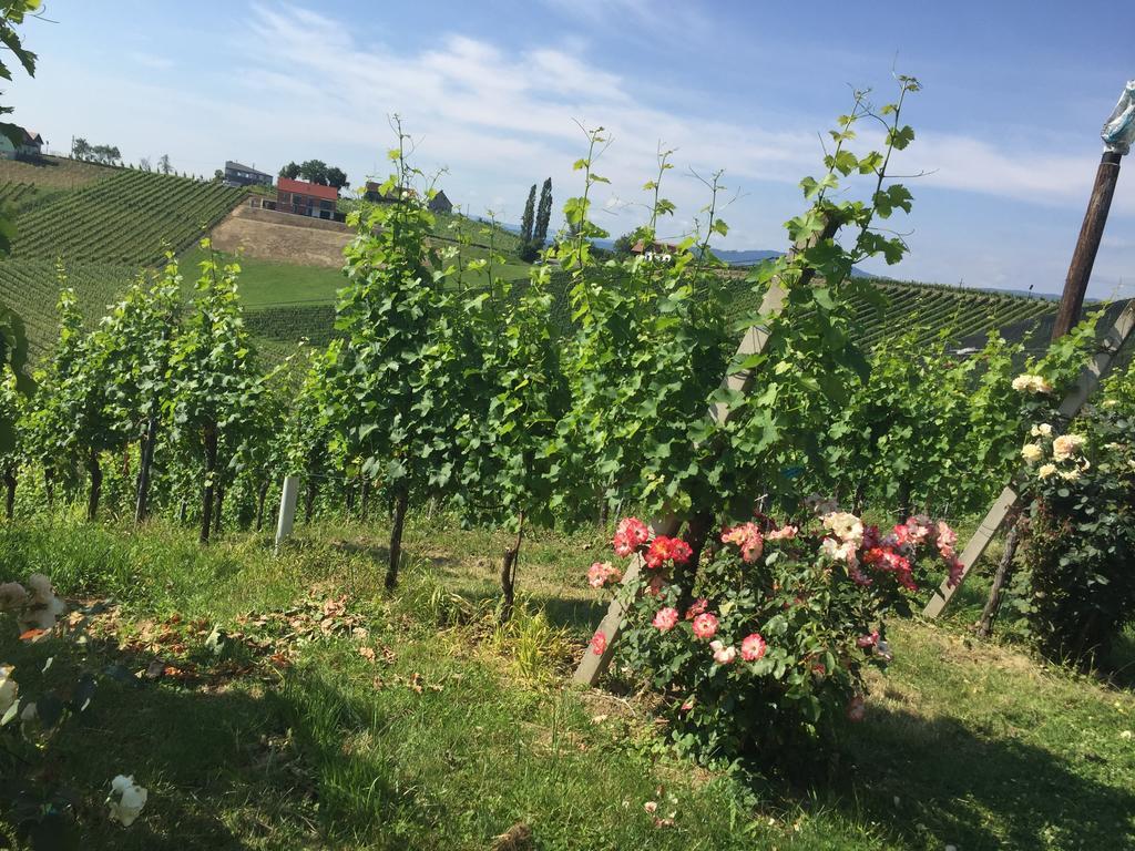Zweytick Gaestezimmer Weingut Ratsch an der Weinstraße Exterior foto